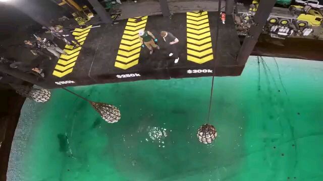 How Much Would You Risk For $500,000?
