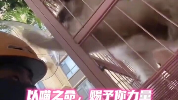 متابعة لموقف ماما تربت على رأس عامل التوصيل