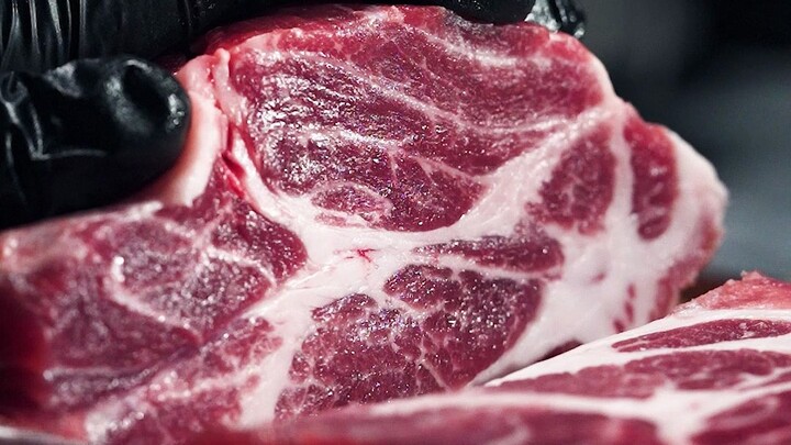 Awen’s people skills are getting better and better~