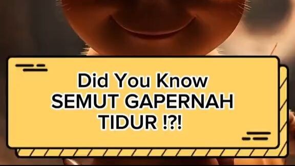 Did You Know SEMUT GAK PERNAH TIDUR?!