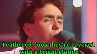 Birds Fly (A Whisper to a Scream) - Icicle Works