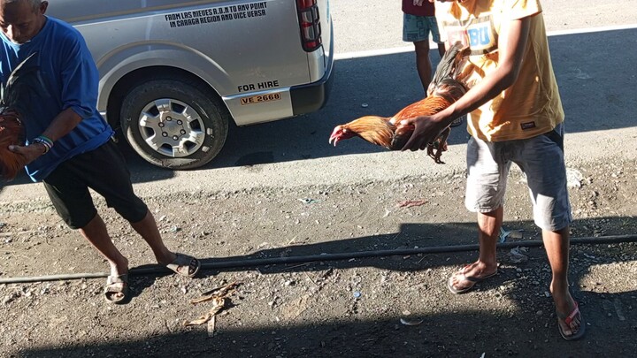 prepared para December pohon daw 😅😅😅tinola line