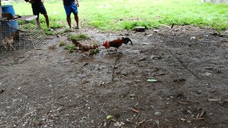 katuwaan #win