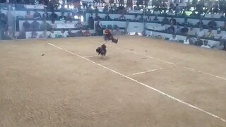 Tornado x Muff Naglalaba Sa San Carlos