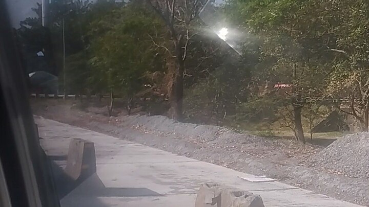 sunog