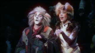 CATS Montage HD