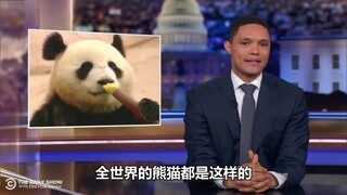 【崔娃】中国送了俄罗斯两只大熊猫，美国人民有小情绪了