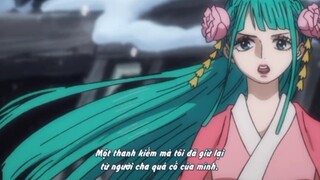 Hành trình của Hiyori cùng Zoro