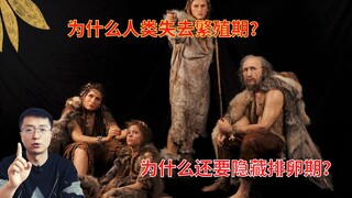 Mengapa manusia tidak memiliki masa reproduksi? Mengapa manusia menyembunyikan masa ovulasinya?