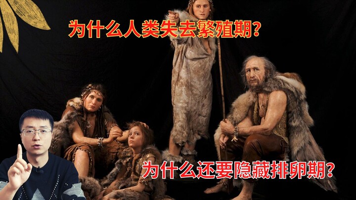 Why don't humans have a breeding season? Why do humans hide their ovulation periods?