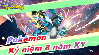 [Pokémon XY/Kỷ niệm 8 năm] Nhìn lại những khoảnh khắc cảm động mà XY mang đến|Thu phục & tiến hóa