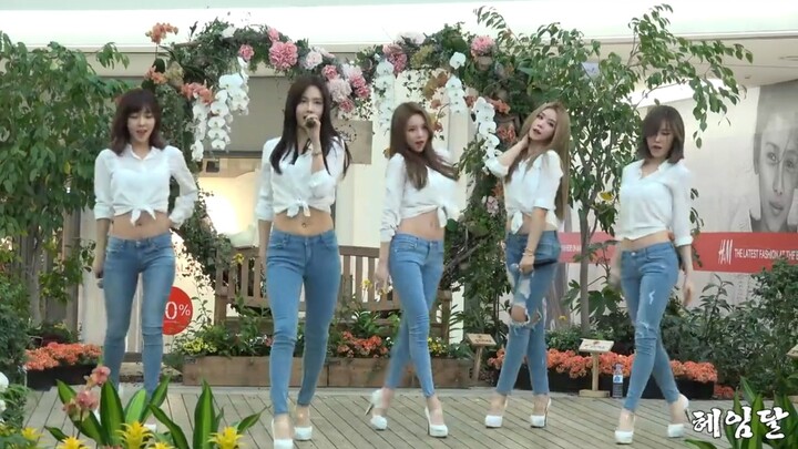 【FIESTAR】《Satu Lagi》150221 Roadshow Fancam