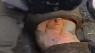 瞧瞧这睿智的小眼神