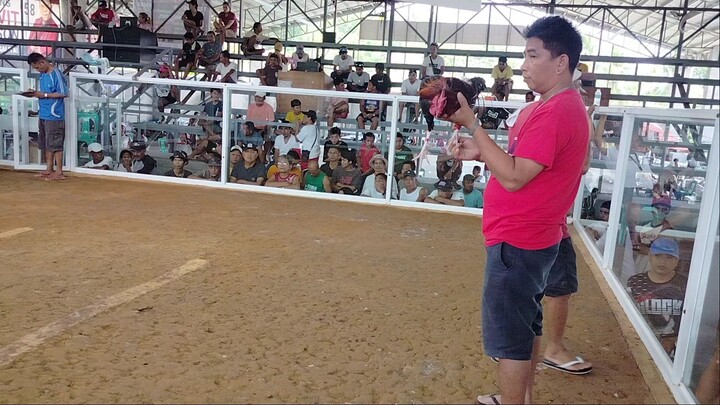 2x Winner na sya mga bossing🐓