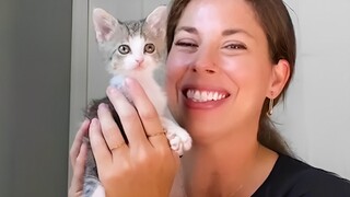 Tiniest Celine Dion Kitten Rescued From Chain Link Fence