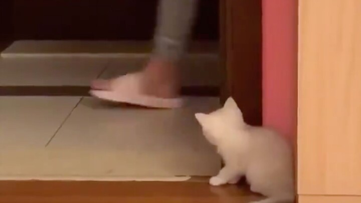 Real hide-and-seek