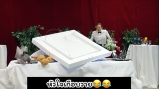 (แกล้งคน) มาดูความฮากัน