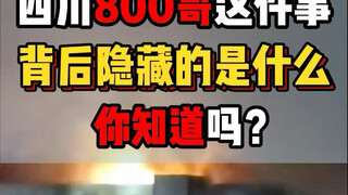 Do you know what is hidden behind the Sichuan 800 Brother incident?
