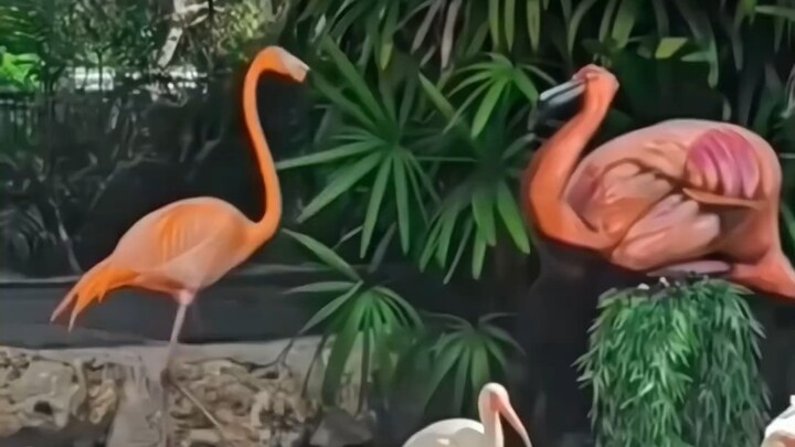 “Bagikan hal-hal menarik kepada orang yang tidak asal-asalan”