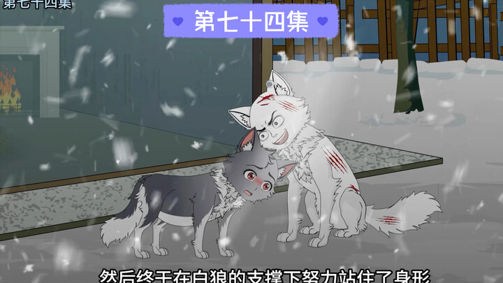 在疾病面前不屈的雌狼