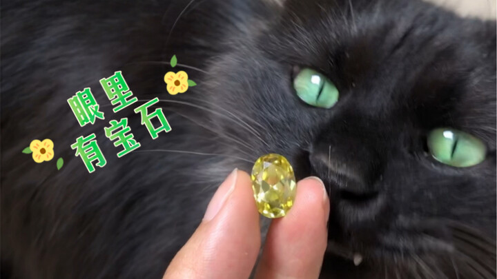 عيناه مثل الجوهرة.