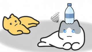 「有趣猫猫来源于生活」