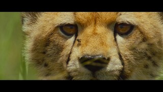 Our Universe - S1E1