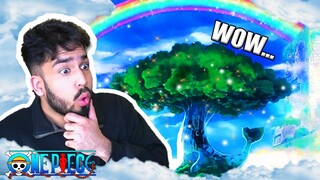 I GOT GOOSEBUMPS! | Ex-Anime Hater Reacts To The BREATHTAKING World Of One Piece !!! |