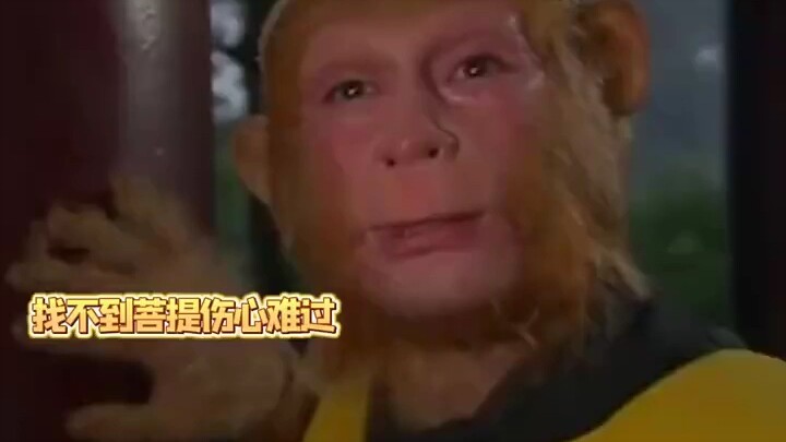 Only Bodhi is the Great Sage’s one and only master.