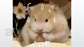 【The 'Chá' that almost turned the tables on Run Tu—】The latest video is here, come check it out!