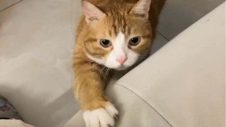 “He’ll literally do anything behind the scenes.”