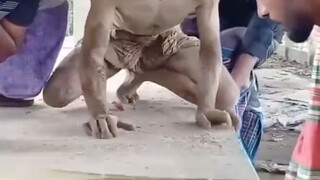 只要手速够快，棍子就打不到