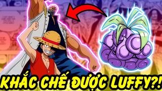 Những Trái Ác Quỷ Khắc Tinh Của Trái Gomu của Luffy!!