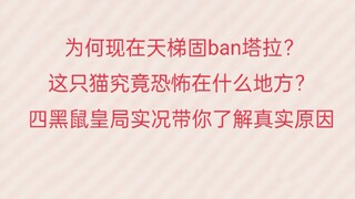 猫和老鼠：塔拉到底有多恐怖？四鼠皇局的战况或许能说明一切