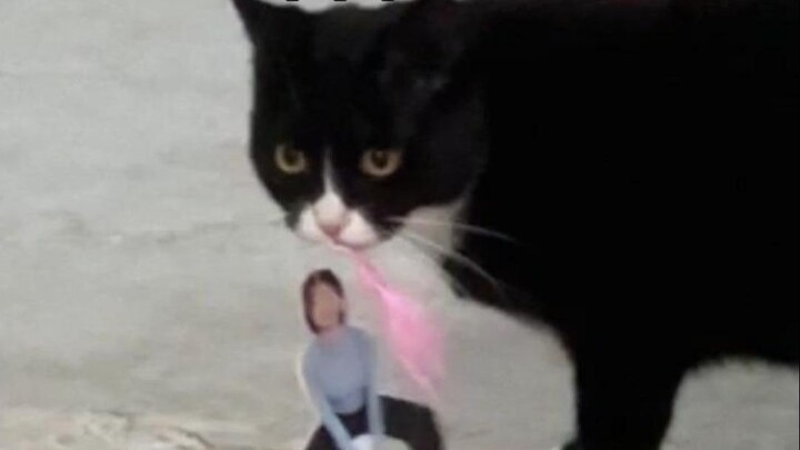 How dare she raise cows, beagles, and kids all at the same time?