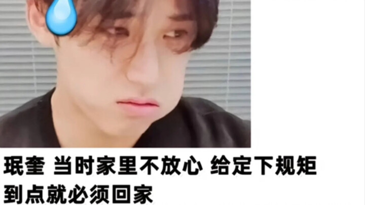 The Funny Everyday Life of Seventeen [seventeen tmi]