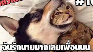 รวมคลิปตลกๆ : นี่สินะที่เค้าเรียกว่า…รักปานจะกลืนกิน!!