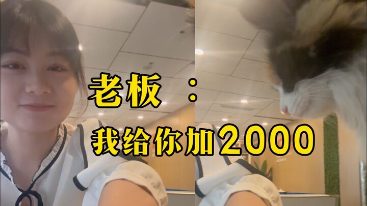 เข้าทำงานได้ 5 วันก็ถูกไล่ออก! พลิกสถานการณ์คว้างานเงินเดือน 12,000 หยวนที่เฉิงตู!