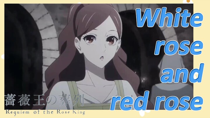 White rose and red rose [Requiem of the Rose King]