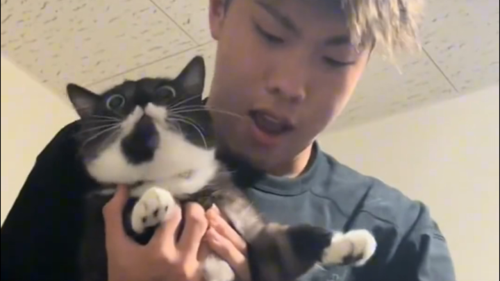 น้องแมวโกรธขึ้นมาสักหน่อย