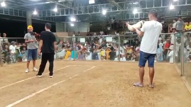 Tumandok's White, Championship fight for 3 Cocks