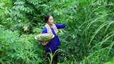 Nộm rau sắn, nộm núc nác I Đặc sản quê nhà ( Cassava Leaves Salad, Nuc Nac Salad ) I Ẩm Thực Mẹ Làm