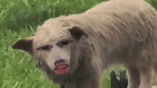 知道和做到是两回事