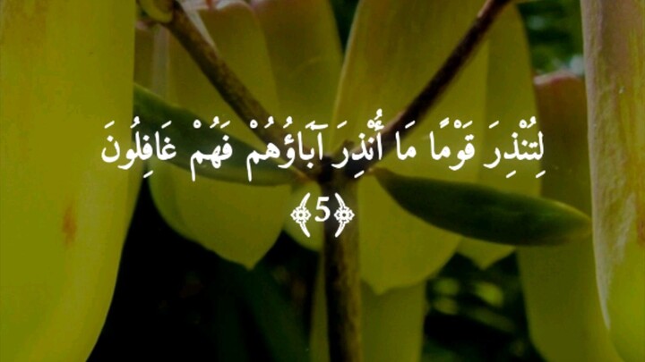 Al Quran