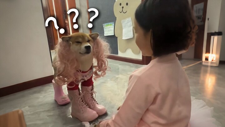 《Đại hội hành vi kỳ lạ của động vật 230》