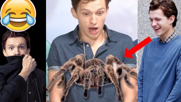 Hahaha, Spider-Man actually got so scared by a real spider that he hid behind a girl! How mean are y