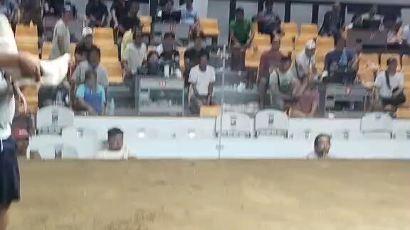 Triple c white kelso