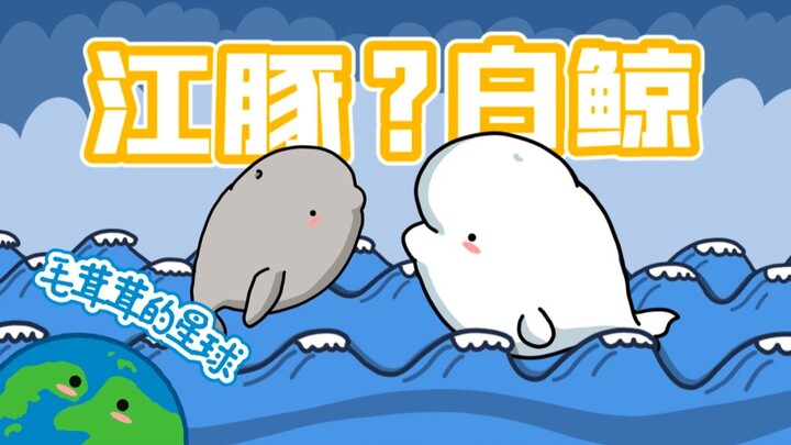 【معلومات صغيرة وناعمة】تعاني من عمى الوجوه؟ جرّب علاج الدلفين النهري والحوت الأبيض!