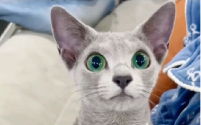 คุณชอบน้องชายหรือน้องสาวมากกว่ากัน?