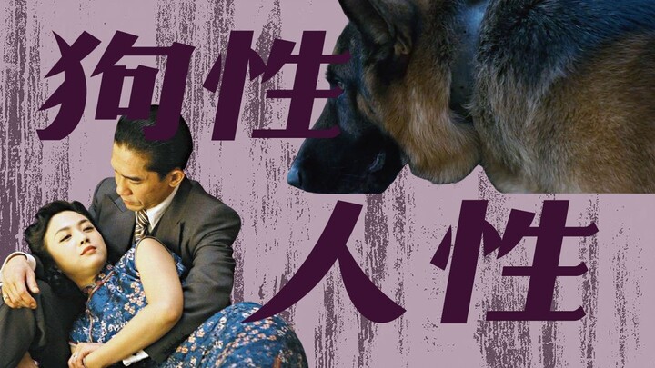 Giải mã mới về “Sắc – Giới”: 15 năm sau, điều khiến tôi ấn tượng nhất lại chính là chú chó này?